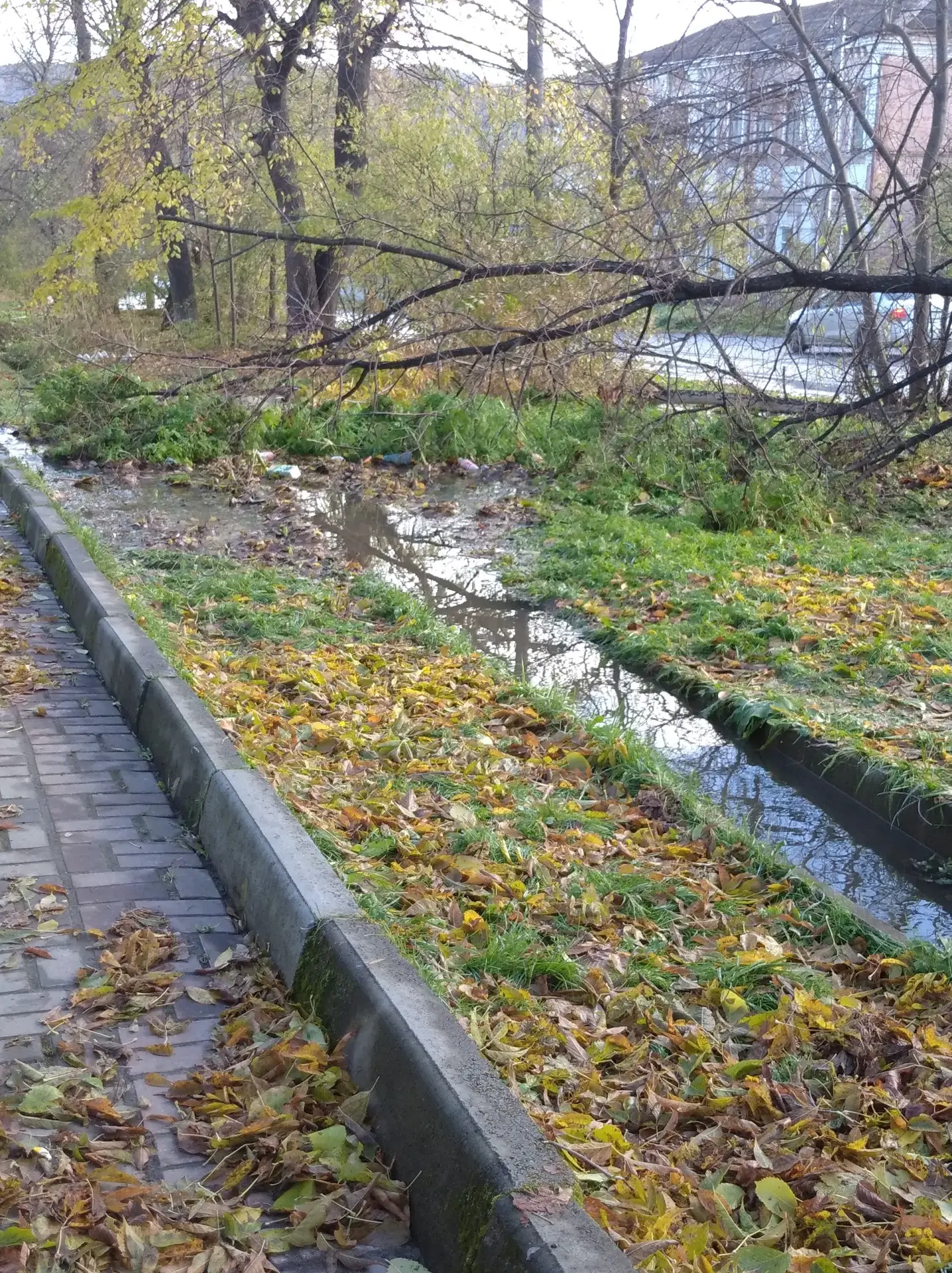 🔴🔵От подписчика: «Ул.Ленина ливневка забита.Вода и на тротуар и на дорогу растекается.»