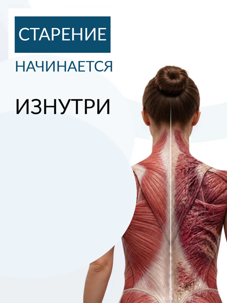 🌿 Из чего состоит фундамент здоровья женщины?