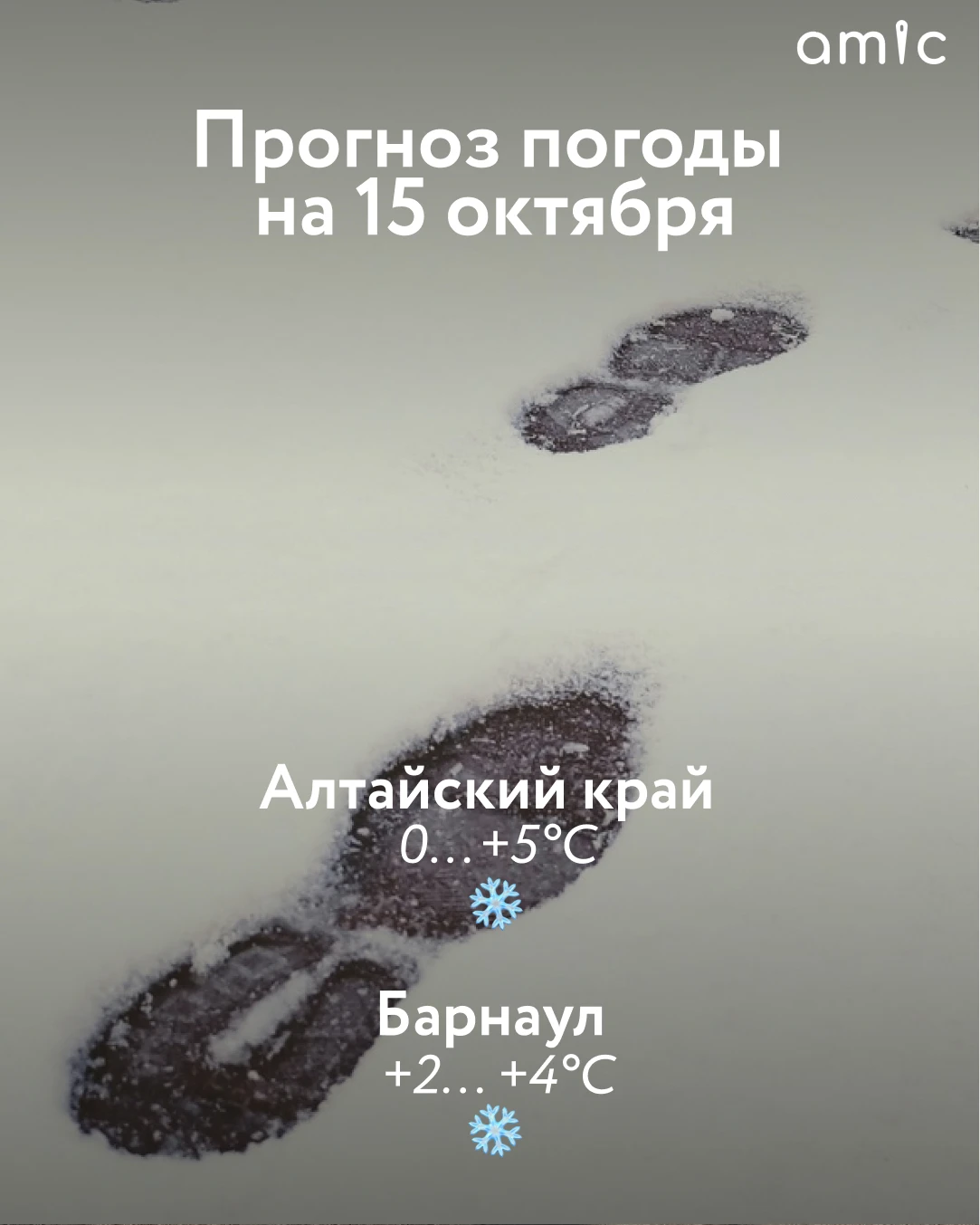 Доброе утро! О погоде в Алтайском крае 15 октября