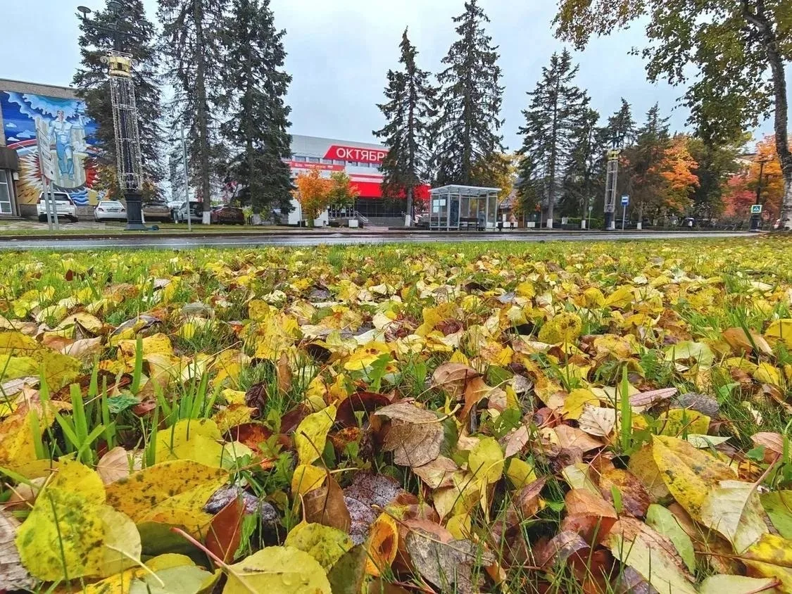 Дождливый осенний Южный в объективе Виктора Титова 🍁🌧