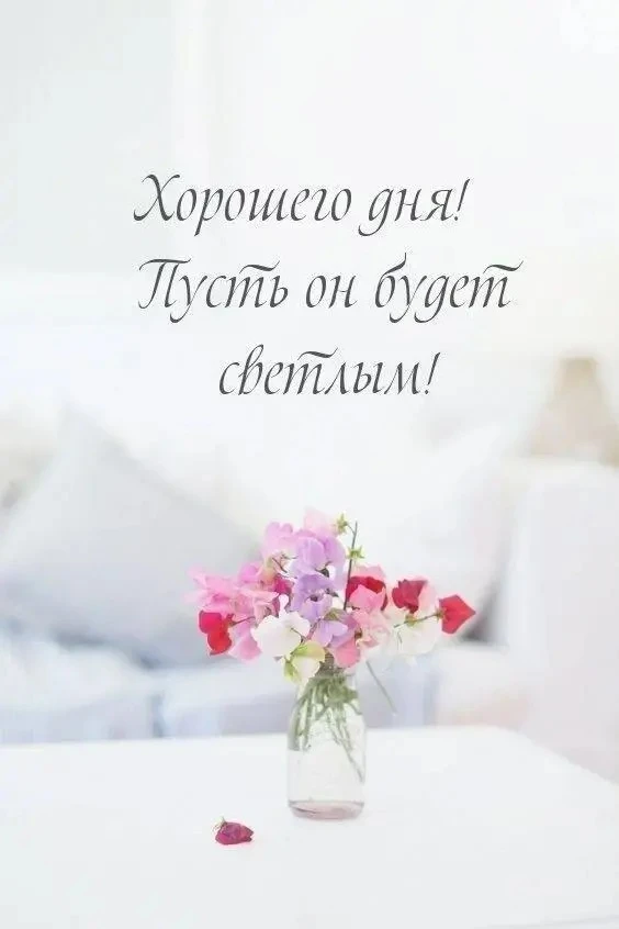 🌺ОТКРЫТКИ И ПОЗДРАВЛЕНИЯ 🌺