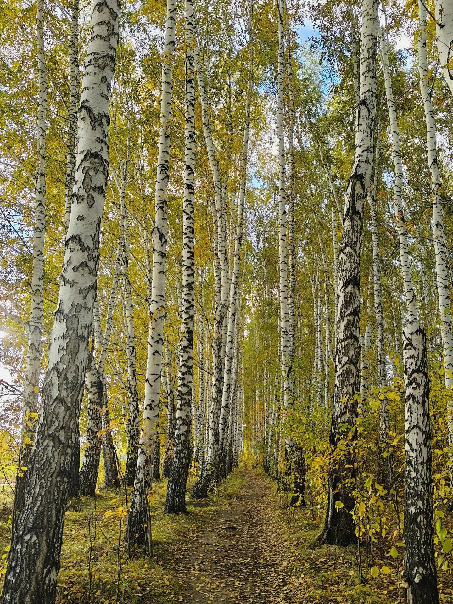 Әйдәгез, дусларым, бер-беребезгә һәрчак изге теләкләрдә булыйк: авырулар - терелсеннәр,...