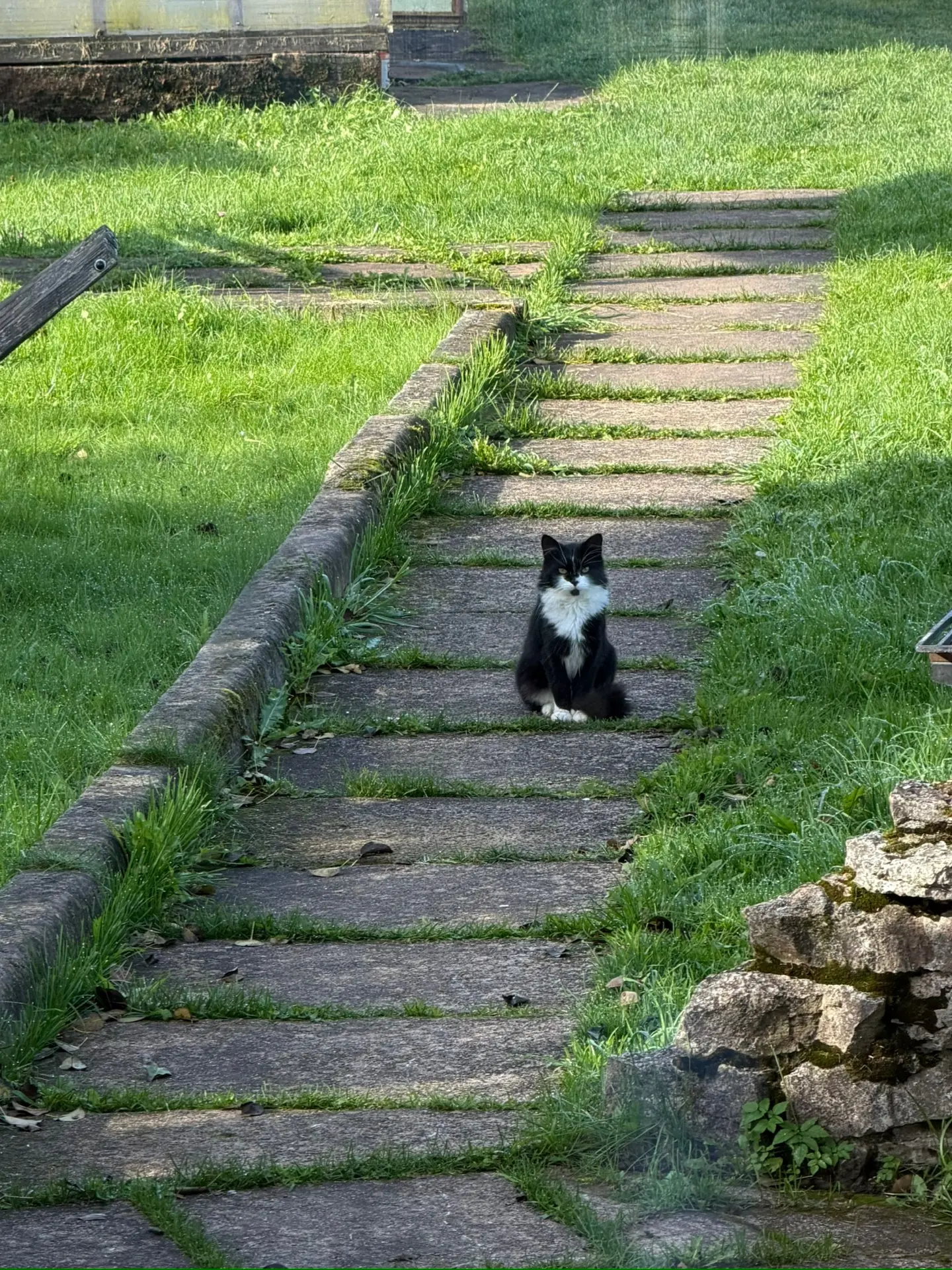 Кажется у меня есть версия, кто это может быть😁