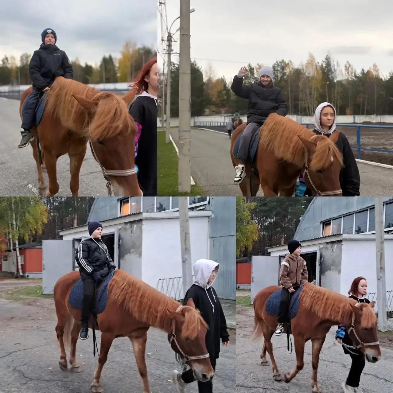 🐎 Когда урок выходит за пределы класса: наш поход на конюшню