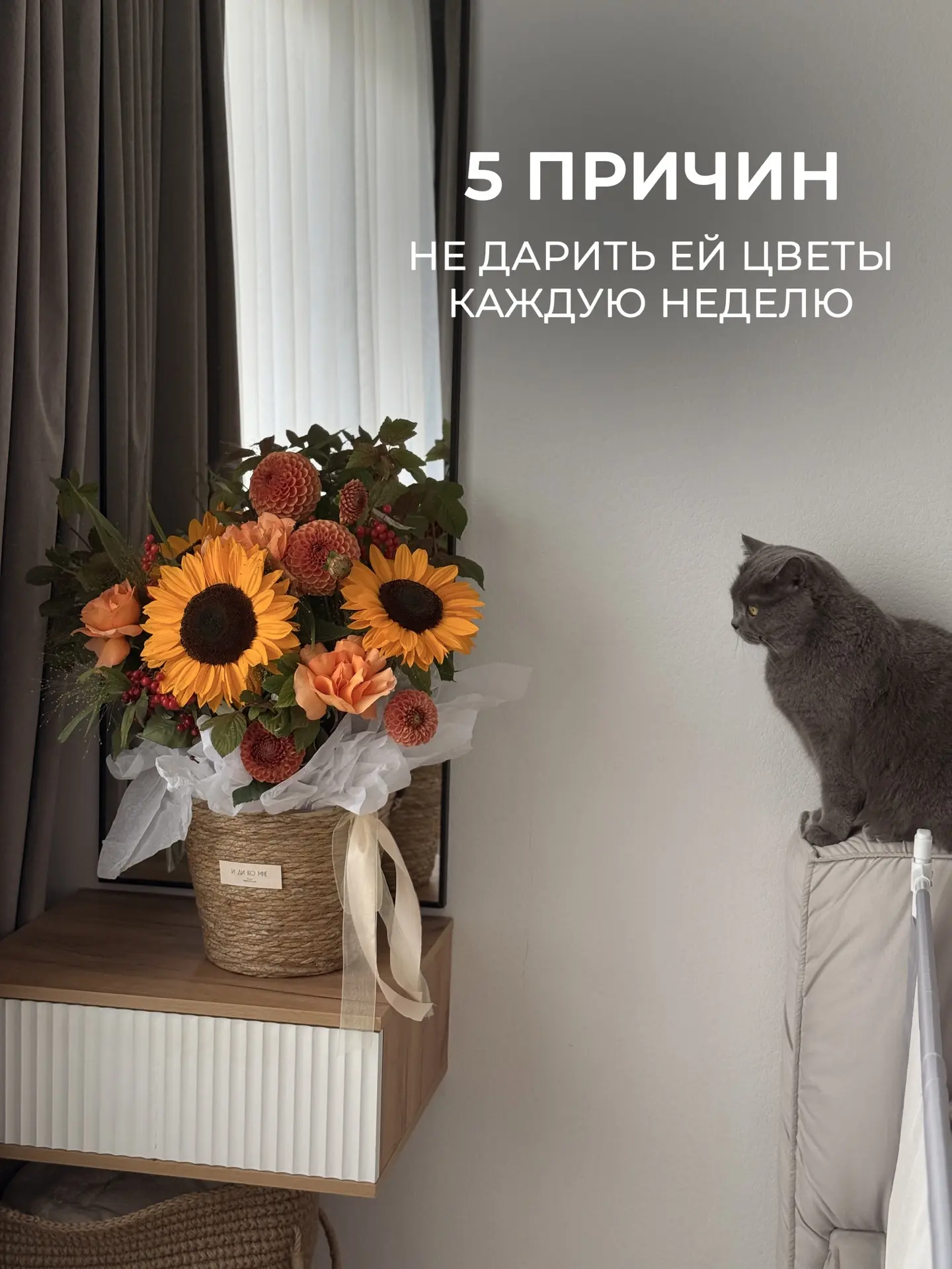Бодро листанул 😏