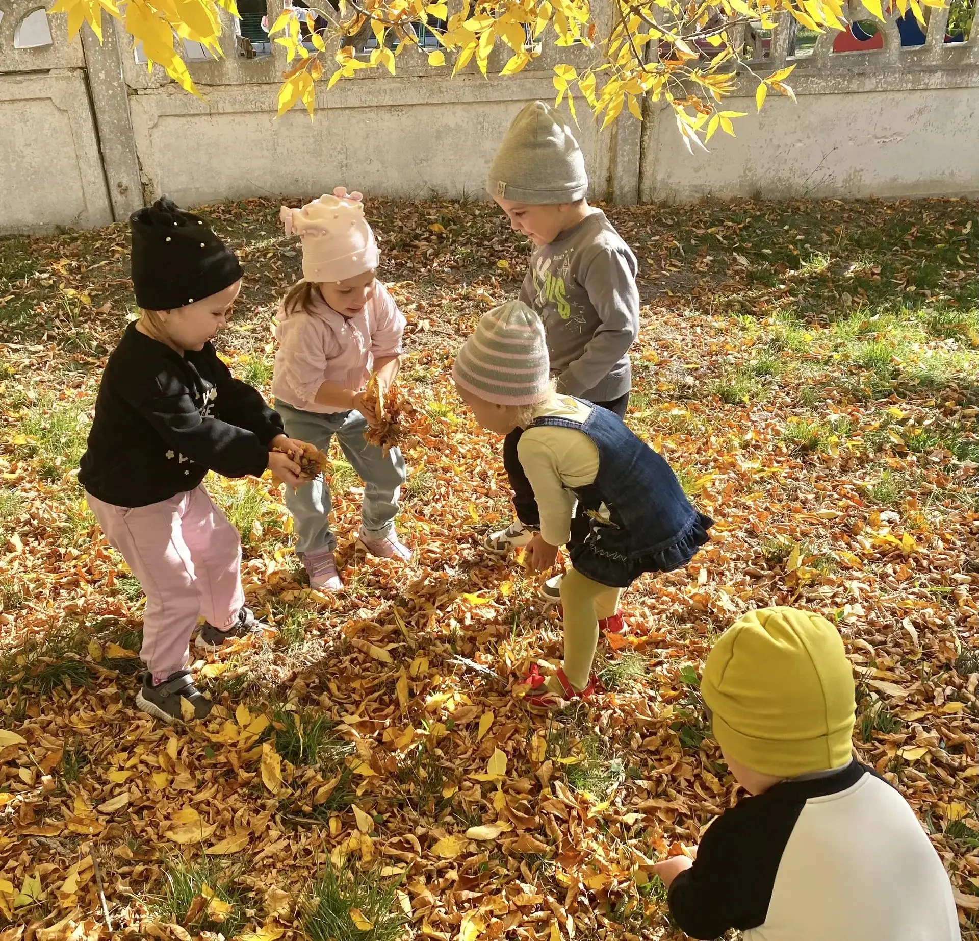 🍁🎨 Осенняя арт-терапия: когда листья — наш холст, а детские улыбки — главный шедевр! ✨🍂