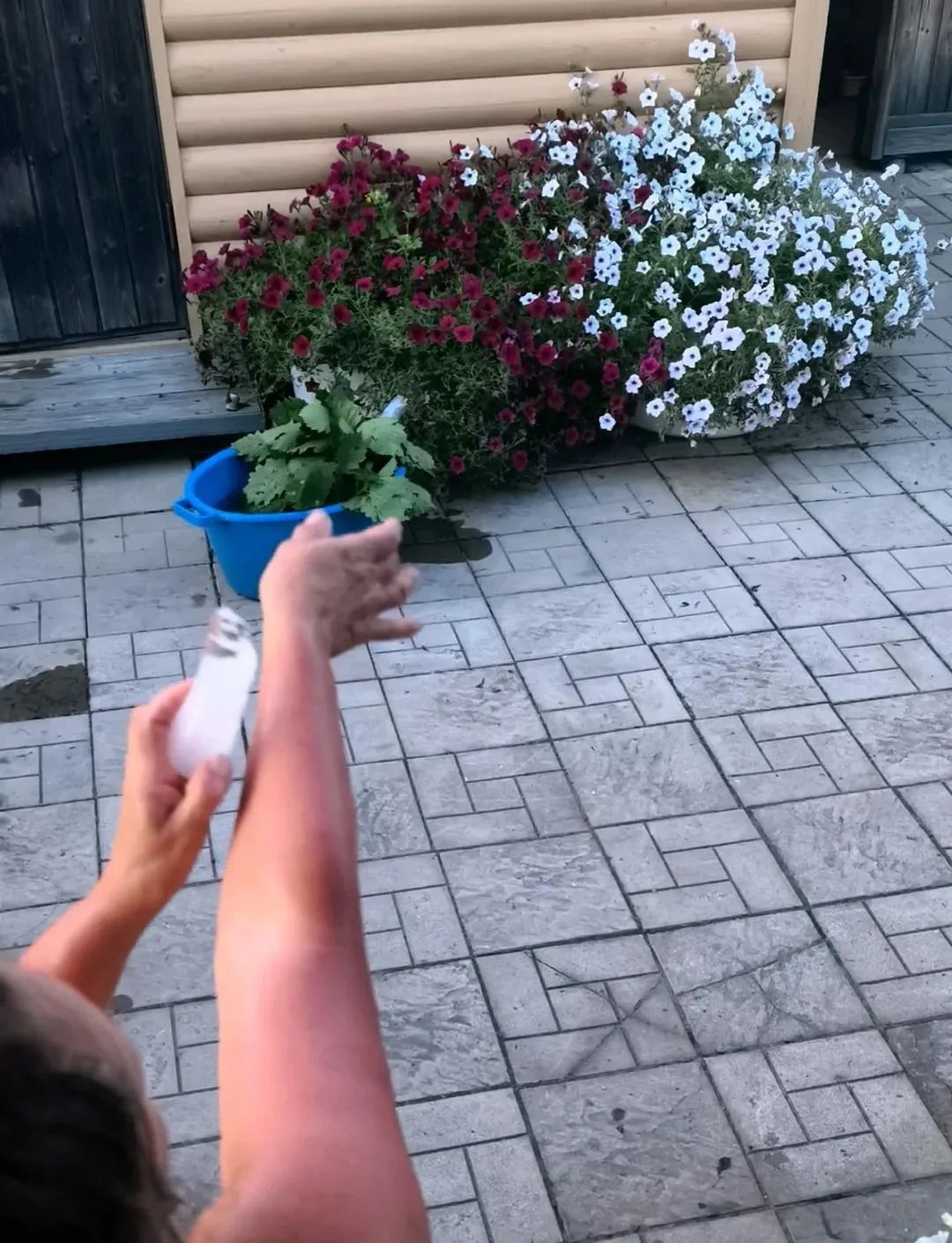 ☀️☀️☀️☀️☀️