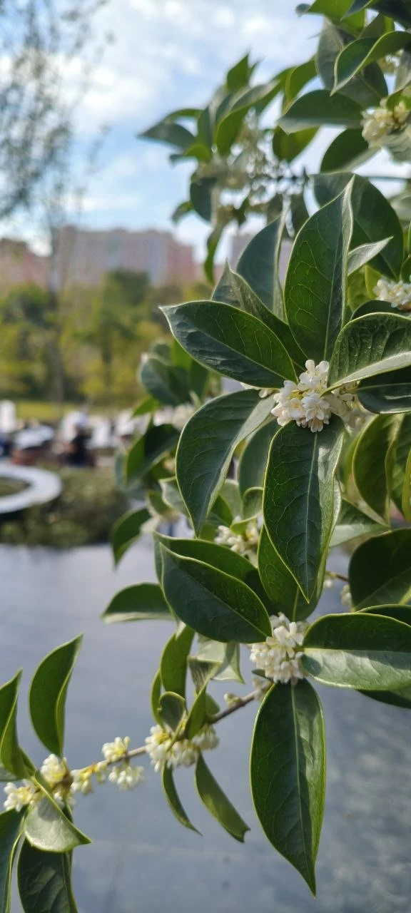 #чтото_красивое Финальная часть застройки парка Галицкого. Каскадный водопад. Фантастич...