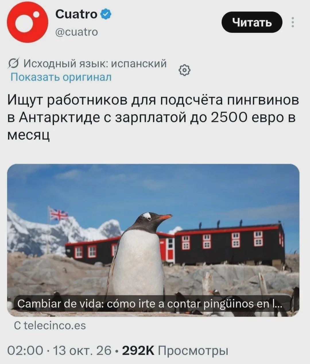 В Антарктиде предлагают работу с пингвинами