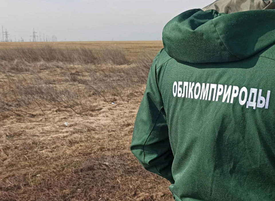 2026 году в Волгоградской области выявили около 1,5 тысячи нарушений законов в сфере эк...