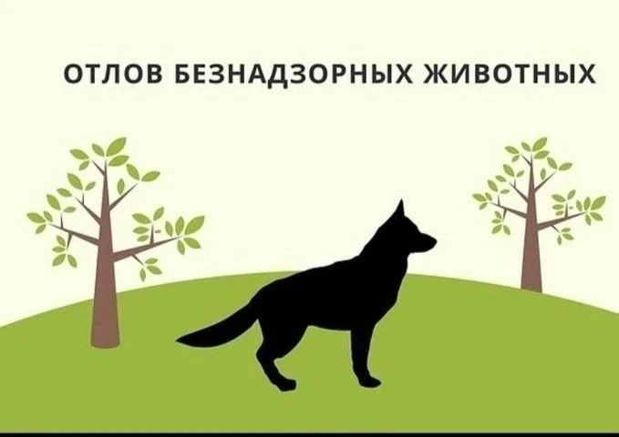 Уважаемые жители Советского муниципального района!