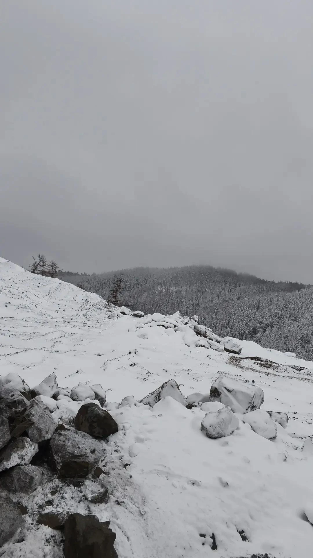 ☃️ Не пройти, не проехать: первый снег завалил дороги на севере Сахалина