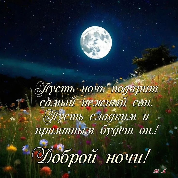 Желаю всем доброй ночи и хорошего крепкого сна 🩷🙏🏼🌛!