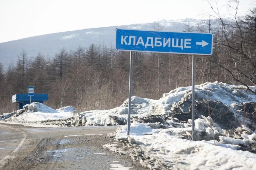 🐻 На кладбище в Магадане могут установить защиту от медведей
