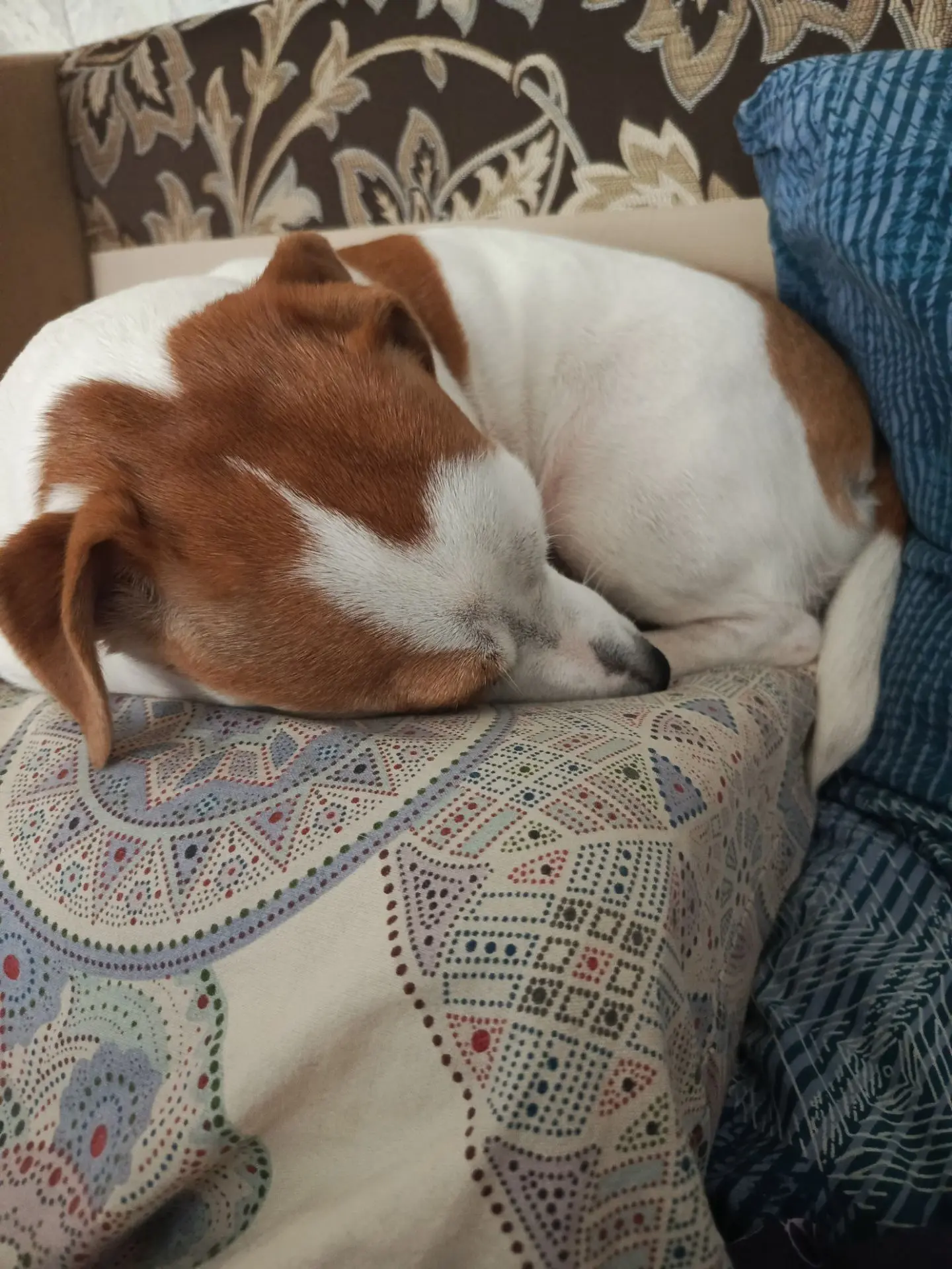 Мы любим поспать😴