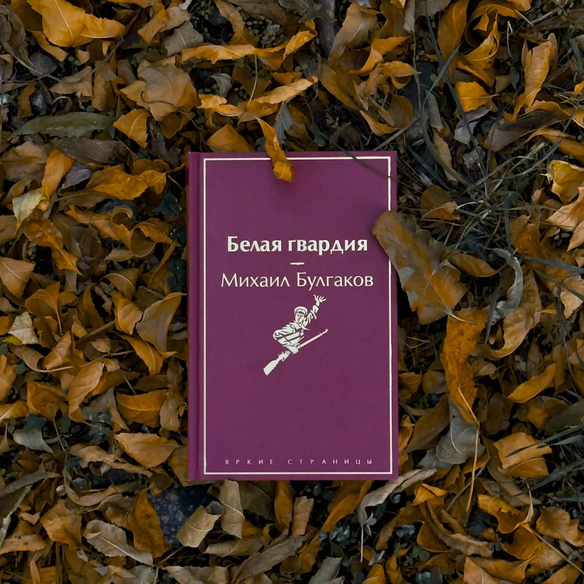 🍂 8 книг для вечеров, когда хочется укутаться в плед