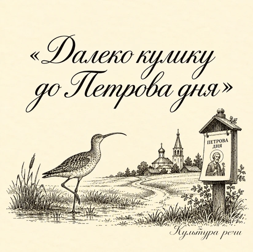 Далеко кулику до Петрова дня