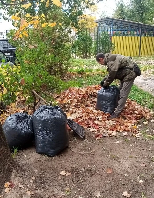 🍂 Уборка осенних листьев в смоленских дворах