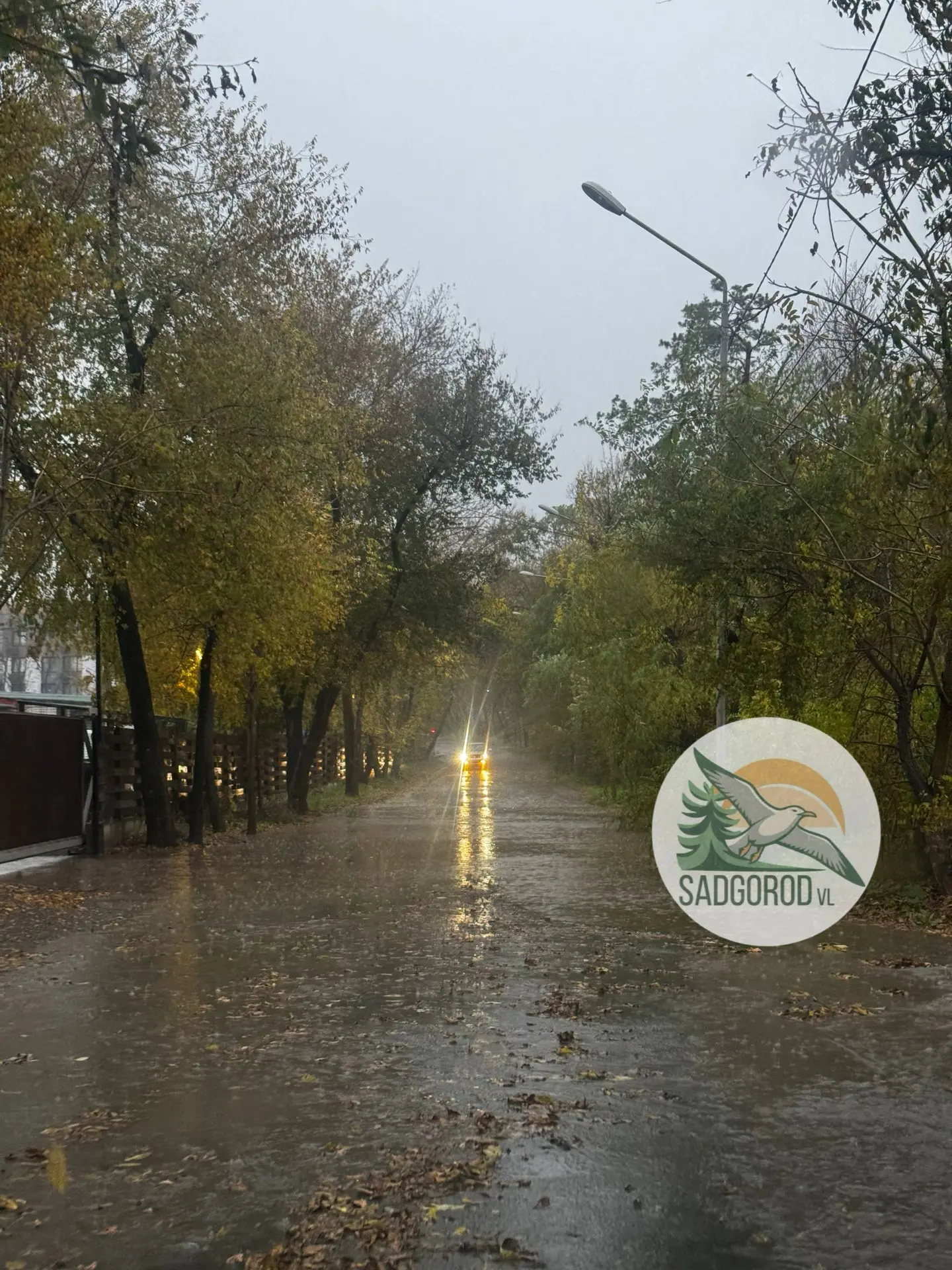 Садко уже плавает