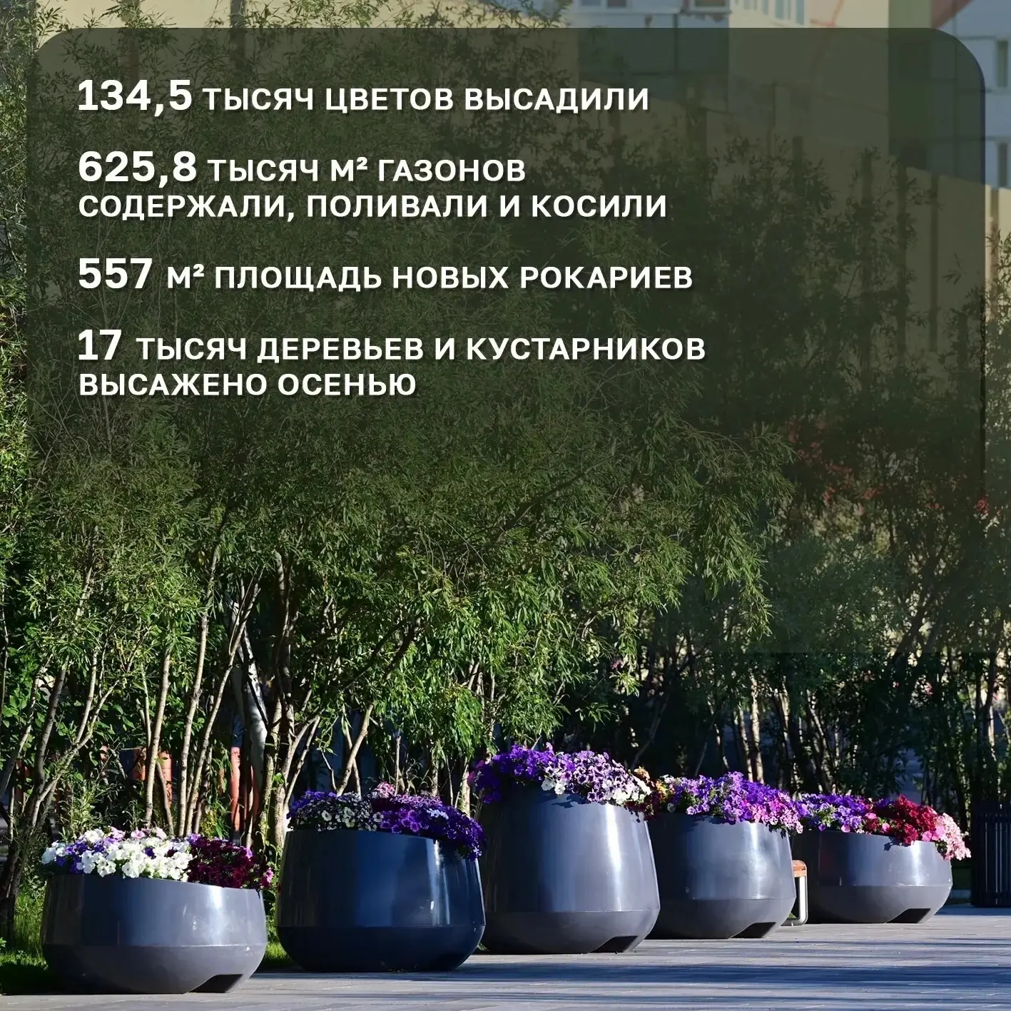 Новый Уренгой расцветает и чистеет! ✨