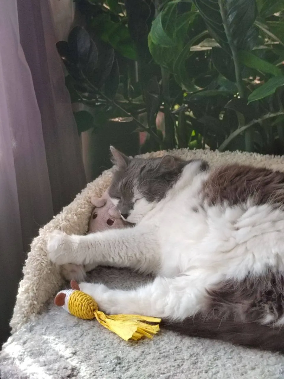 😻😻😻