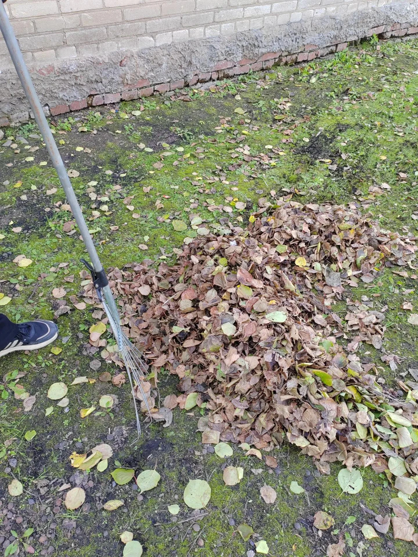 🍂 ОСЕННИЙ МАРАФОН ЧИСТОТЫ: ШКОЛА ЗАЖИГАЕТ! 🍁