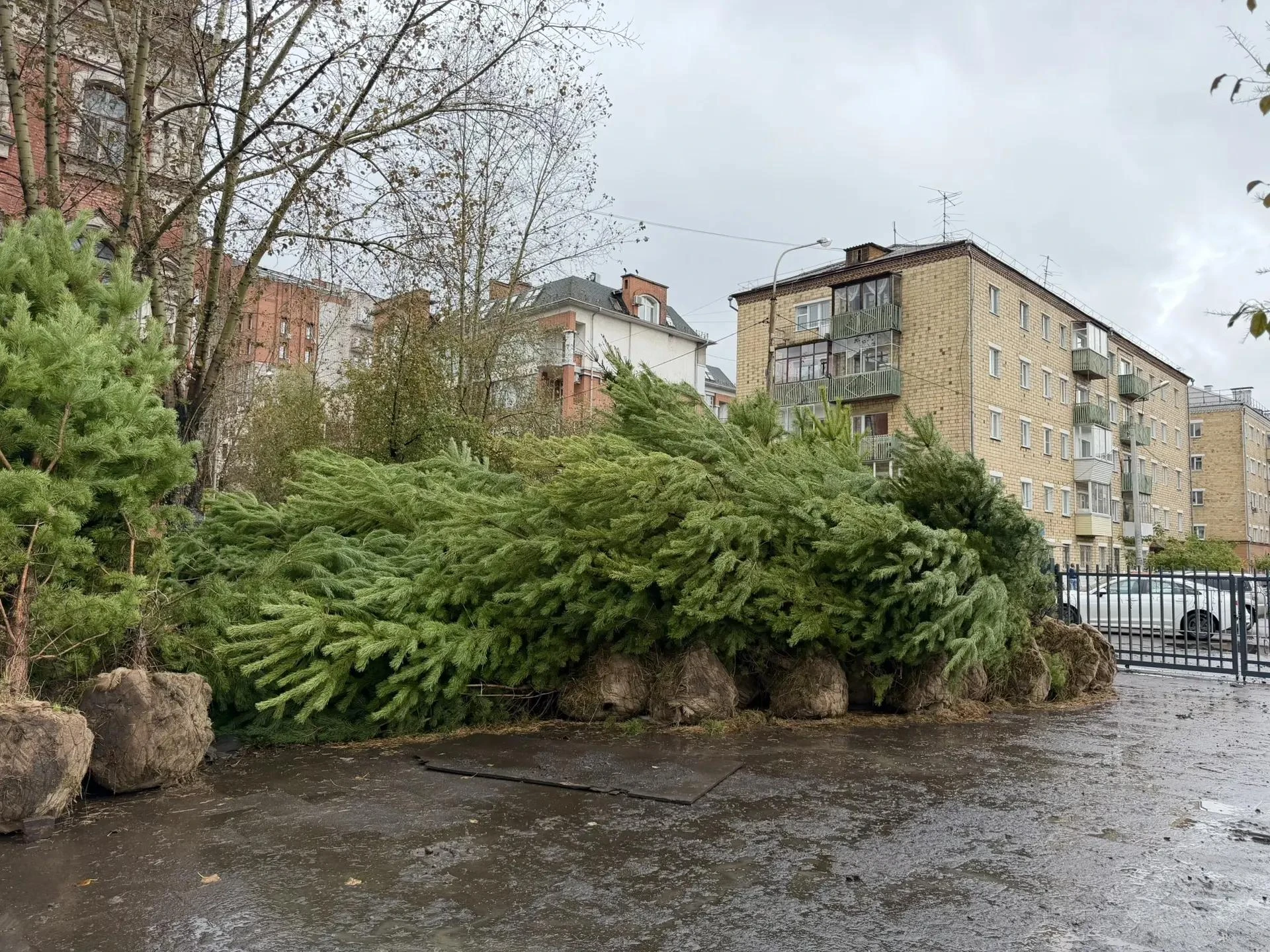 В Красноярске продолжается масштабное обновление одной из главных развлекательных и зел...