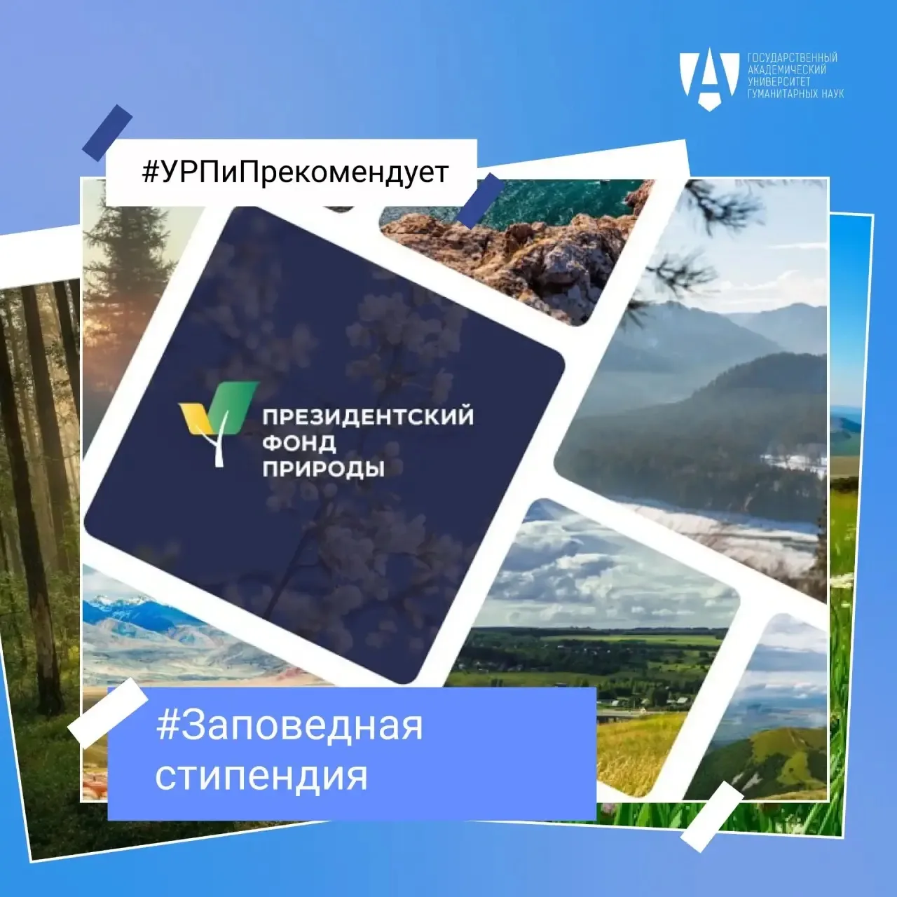 🌿 Президентский фонд природы объявляет конкурс на «Заповедную стипендию»! Это не тольк...