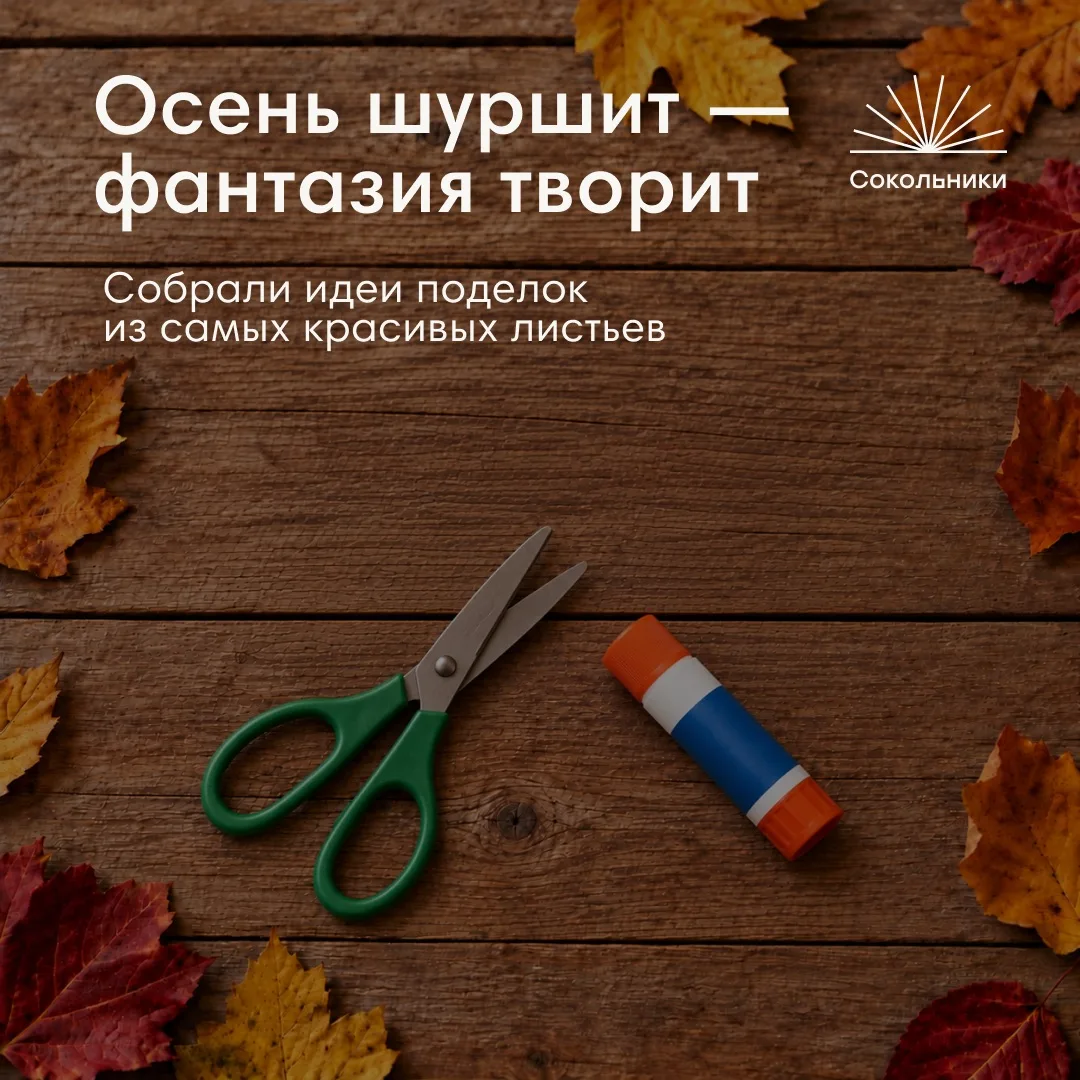 День шуршания листьями 🍁
