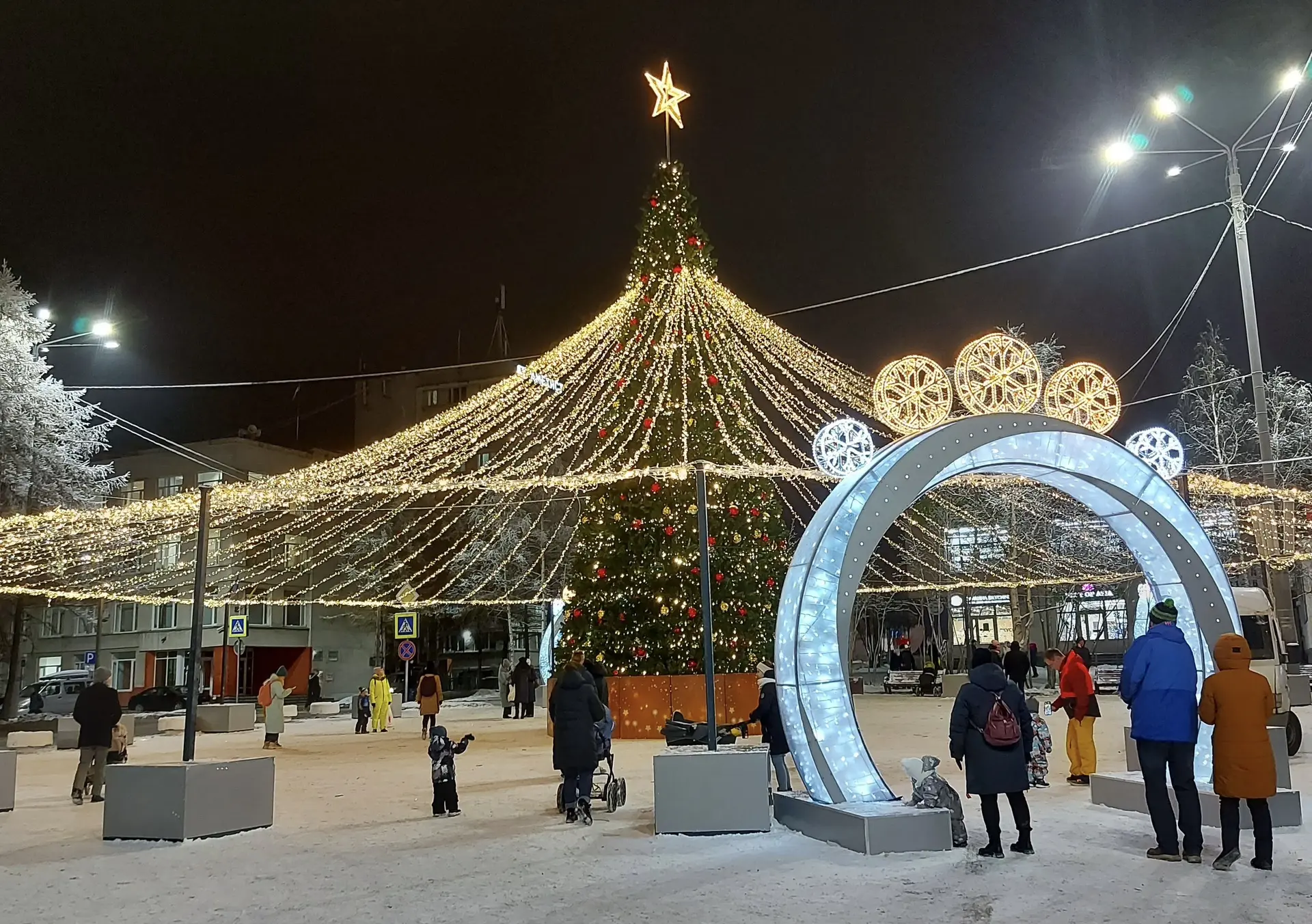 Новогодние ёлки в городах Мурманской области в этом году установят на две недели позже,...