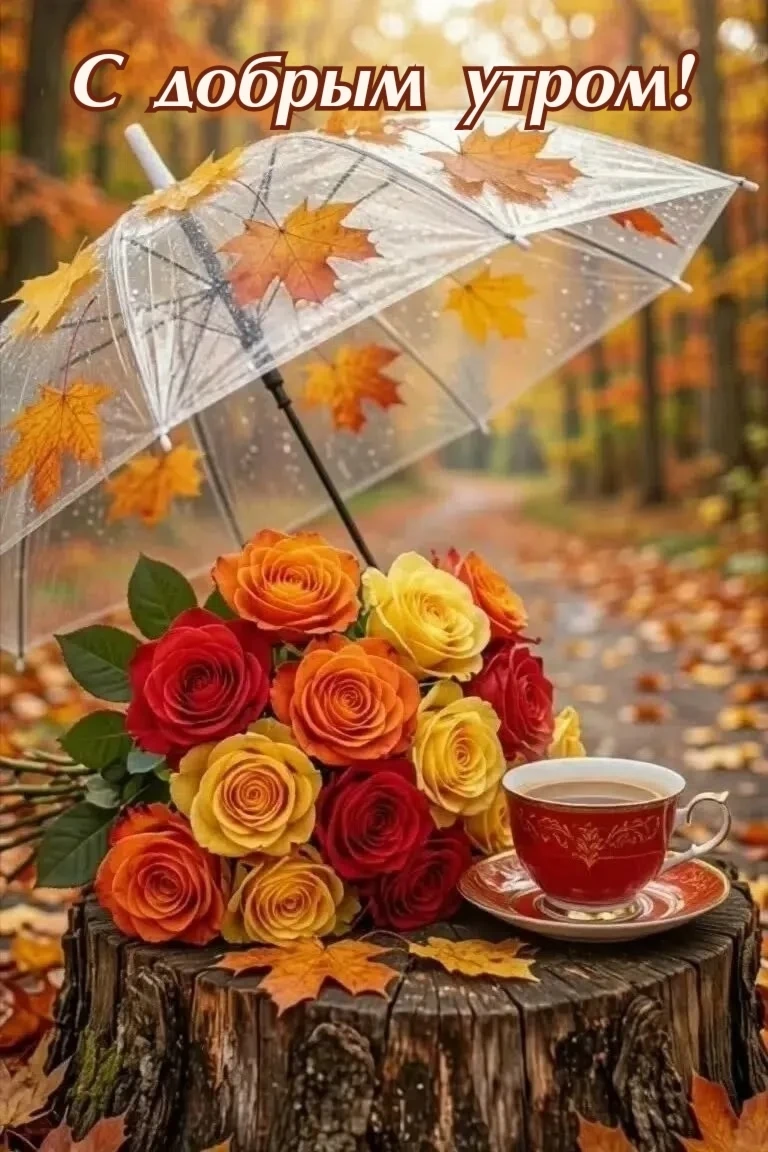 🎀 Красивые открытки
