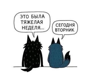 Доброе утро, уважаемые читатели! Почему-то у меня ощущения, как на картинке у чёрного в...