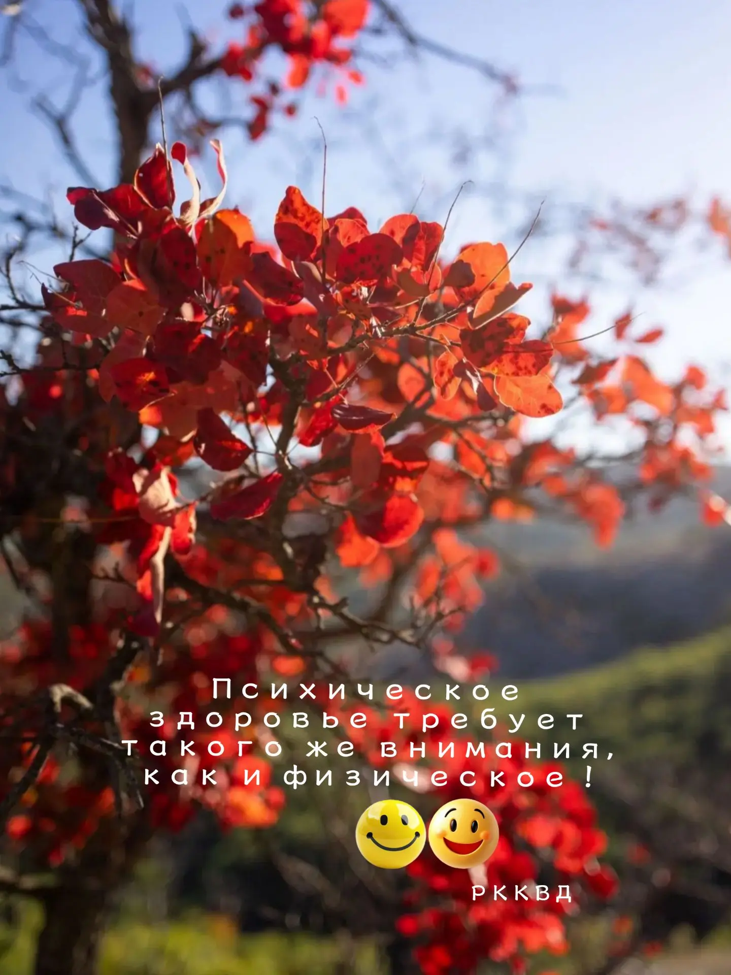 😊Психическое здоровье - часть общего здоровья!