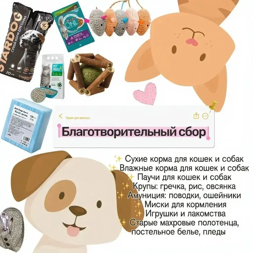 Ребята и родители!❤️