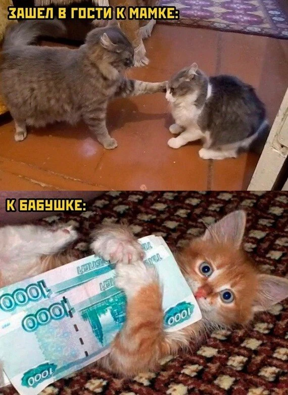 Ну чисто мой Данил 😀