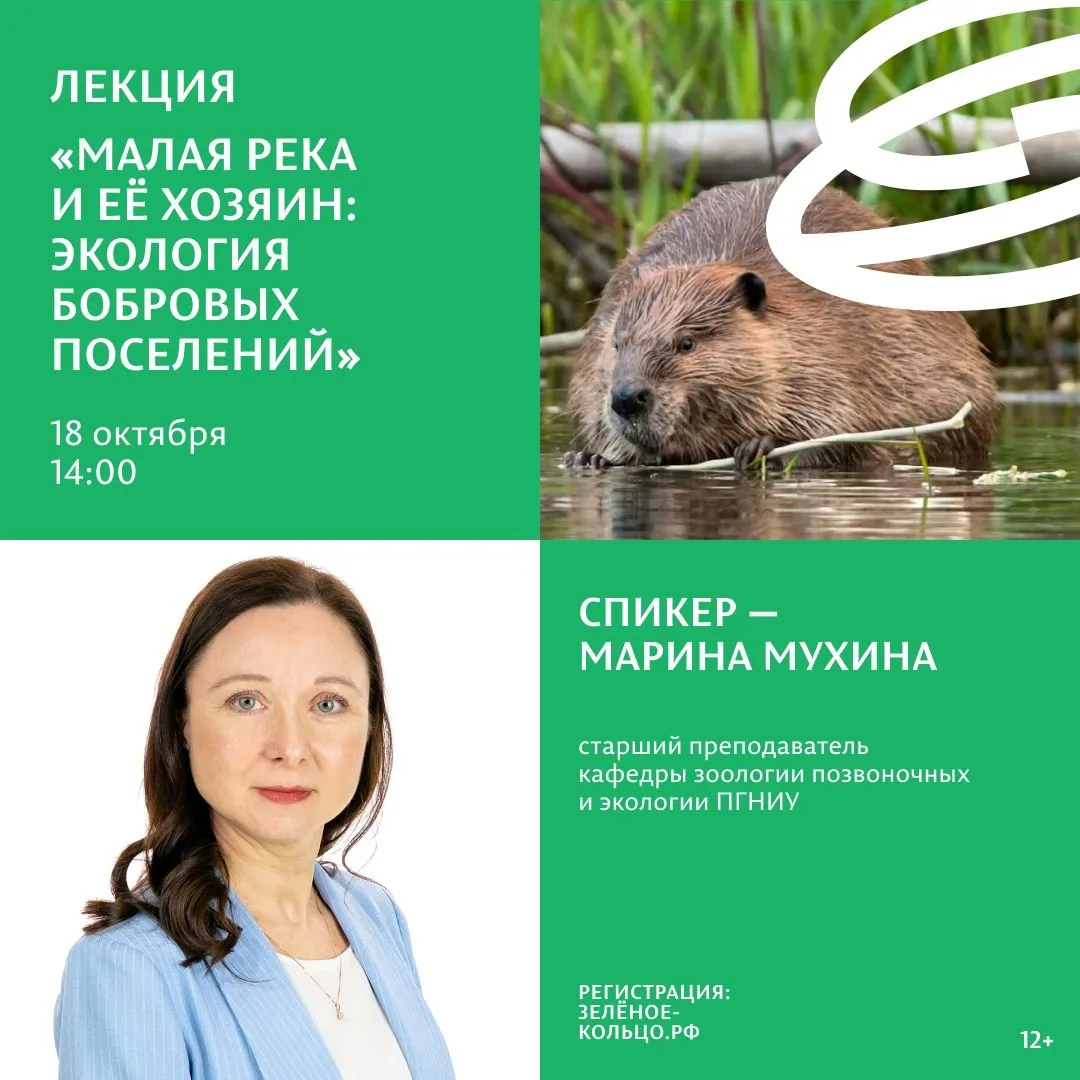 БЕСПЛАТНО
