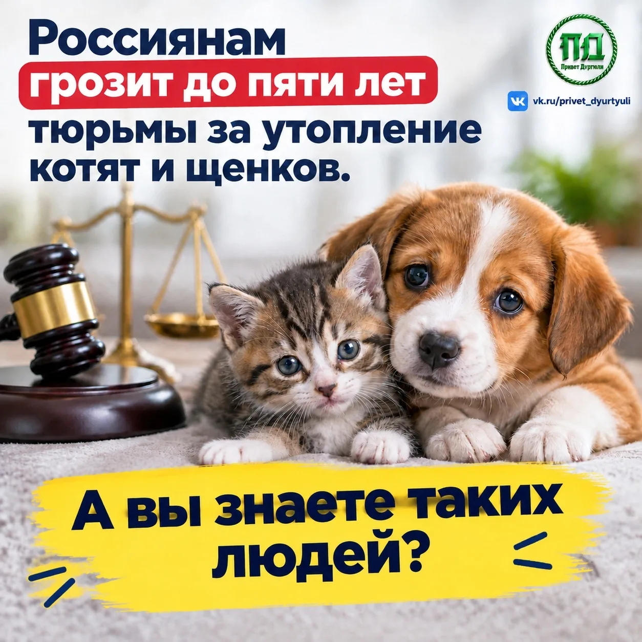 В России за утопление котят и щенков может грозить до пяти лет лишения свободы.