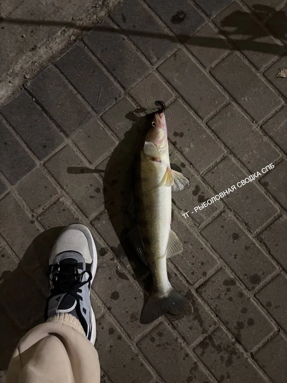 04.10.26
