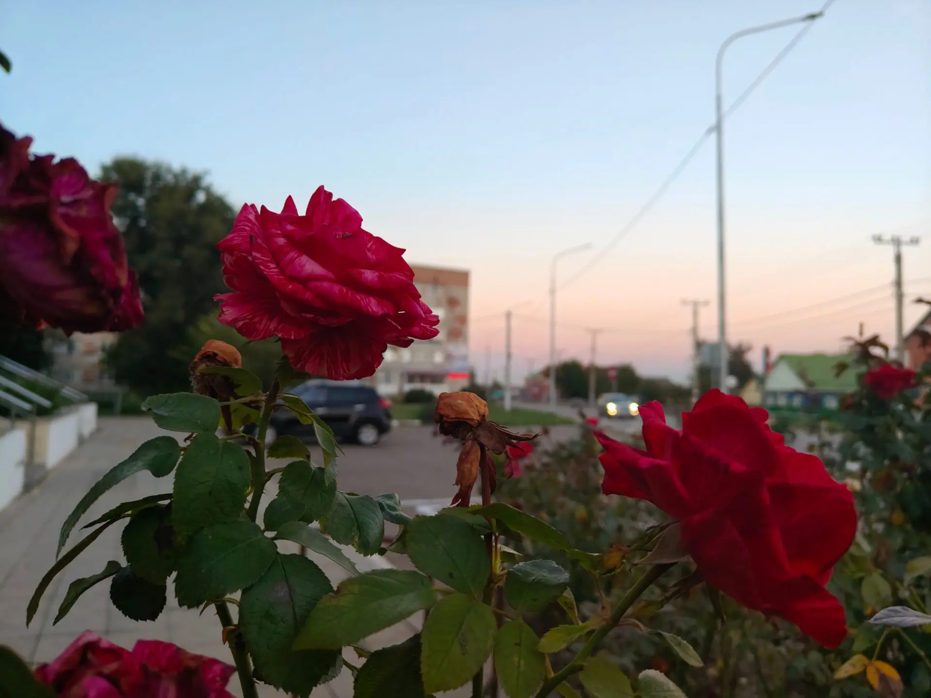Главное к вечеру субботы, 10 октября: