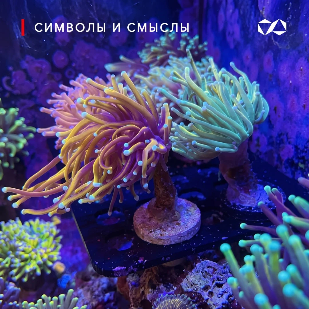 💜 Эффект флуоресценции