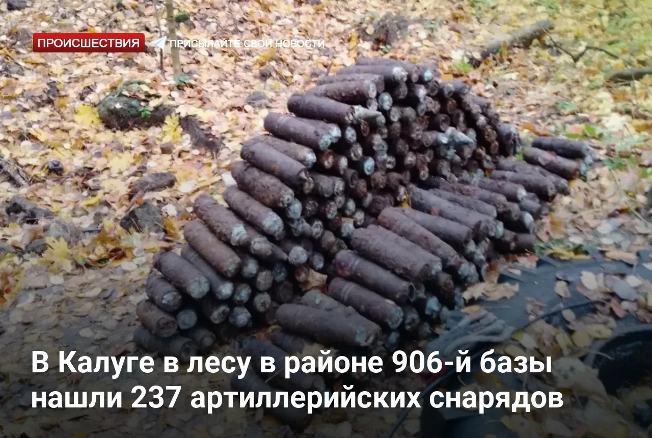 В Калуге в лесу в районе 906-й базы нашли 237 артиллерийских снарядов