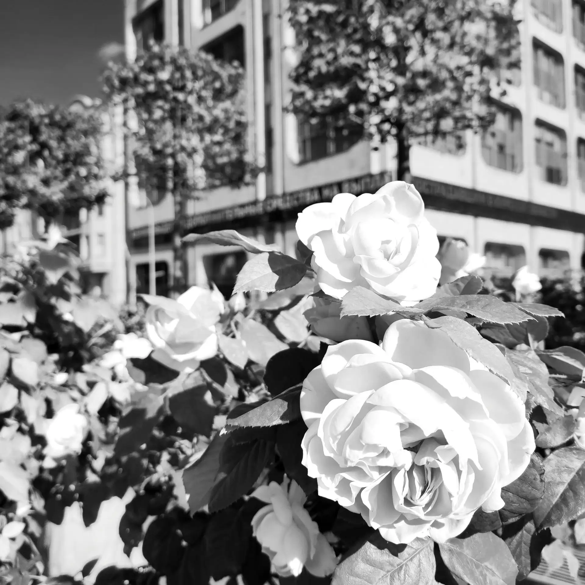 Фото