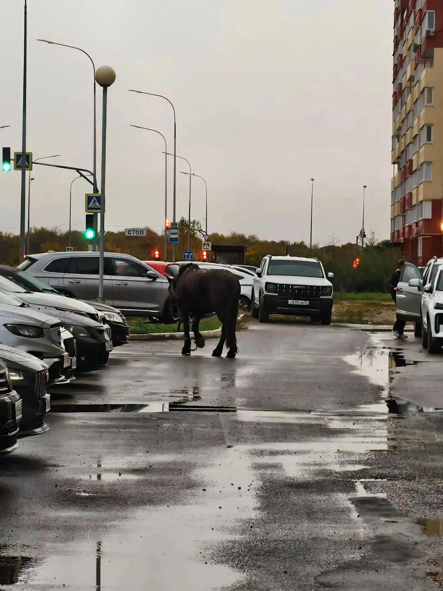 Утро в Брянске. Бежица.