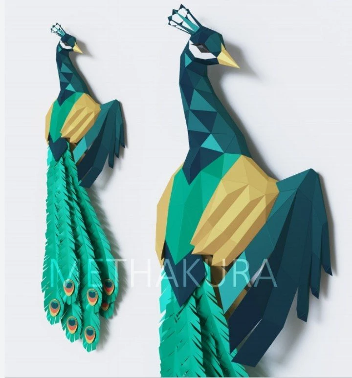 📚 Павлин | Peacock