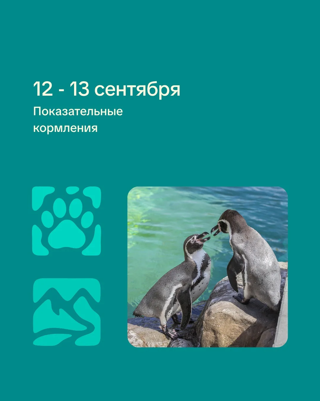 🍇Друзья, ждем вас на показательные кормления в эти выходные!