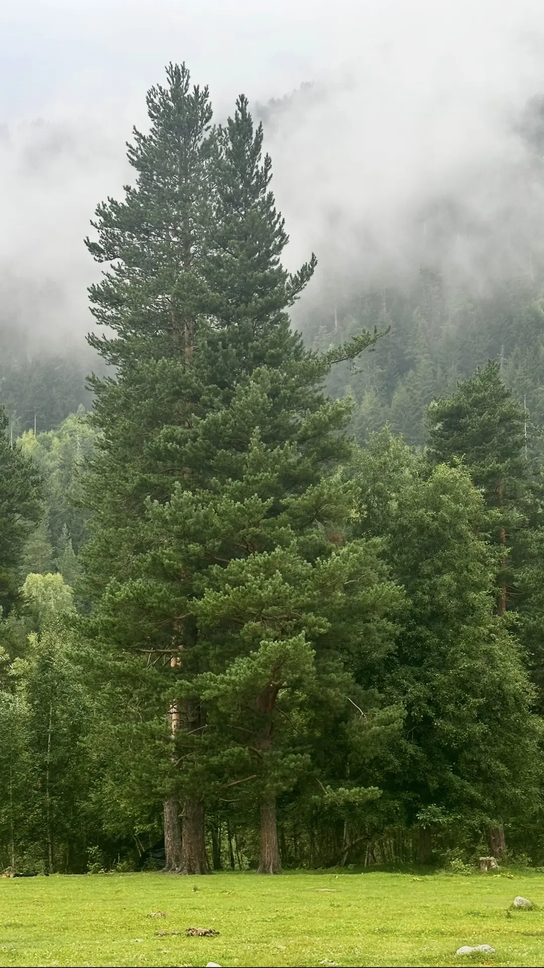 Гуляю по планете с телефоном и наслаждаюсь её красотой. 📸🌎 Нахожу вдохновение во всём...