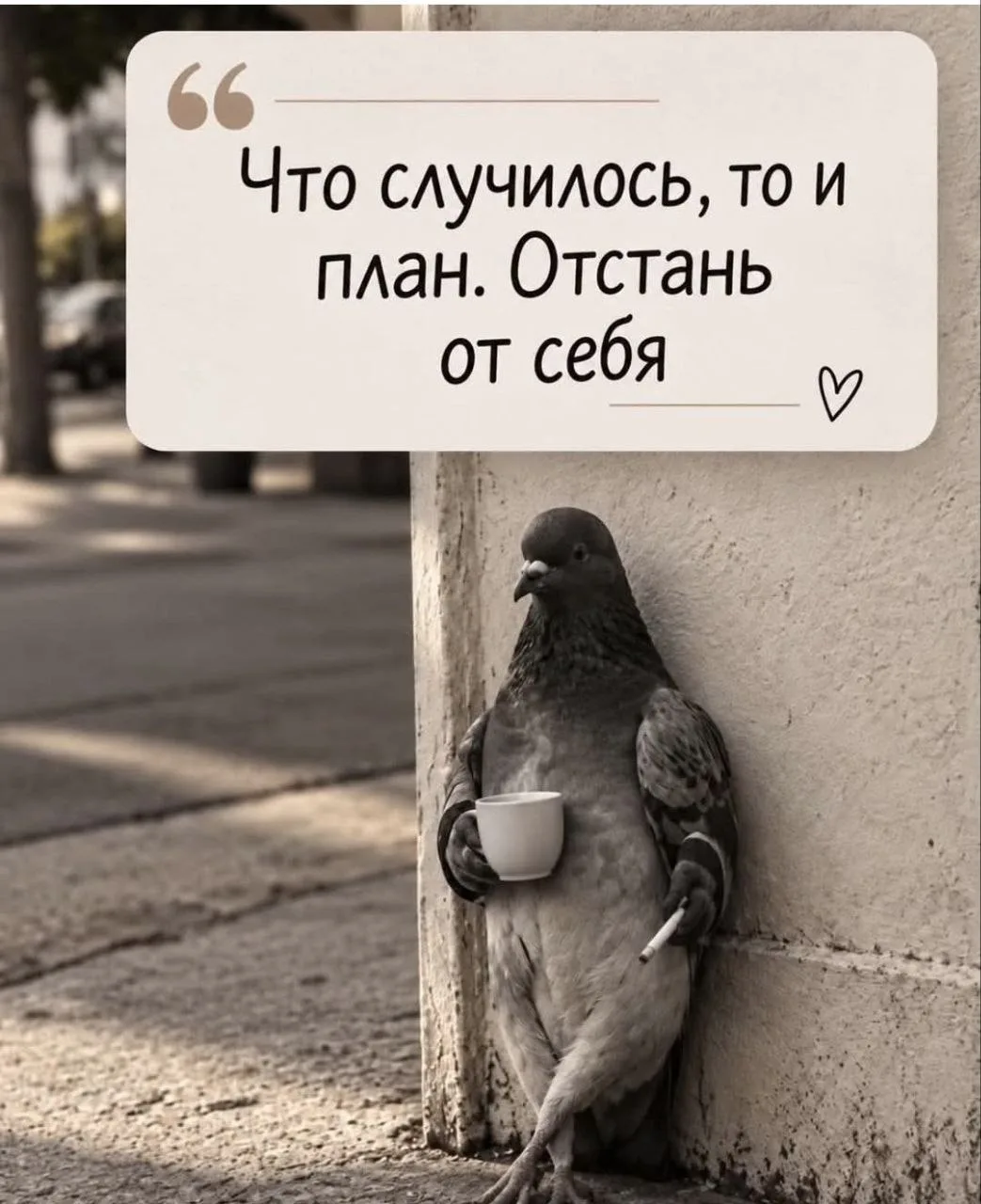 Доброе утро,понедельника👋