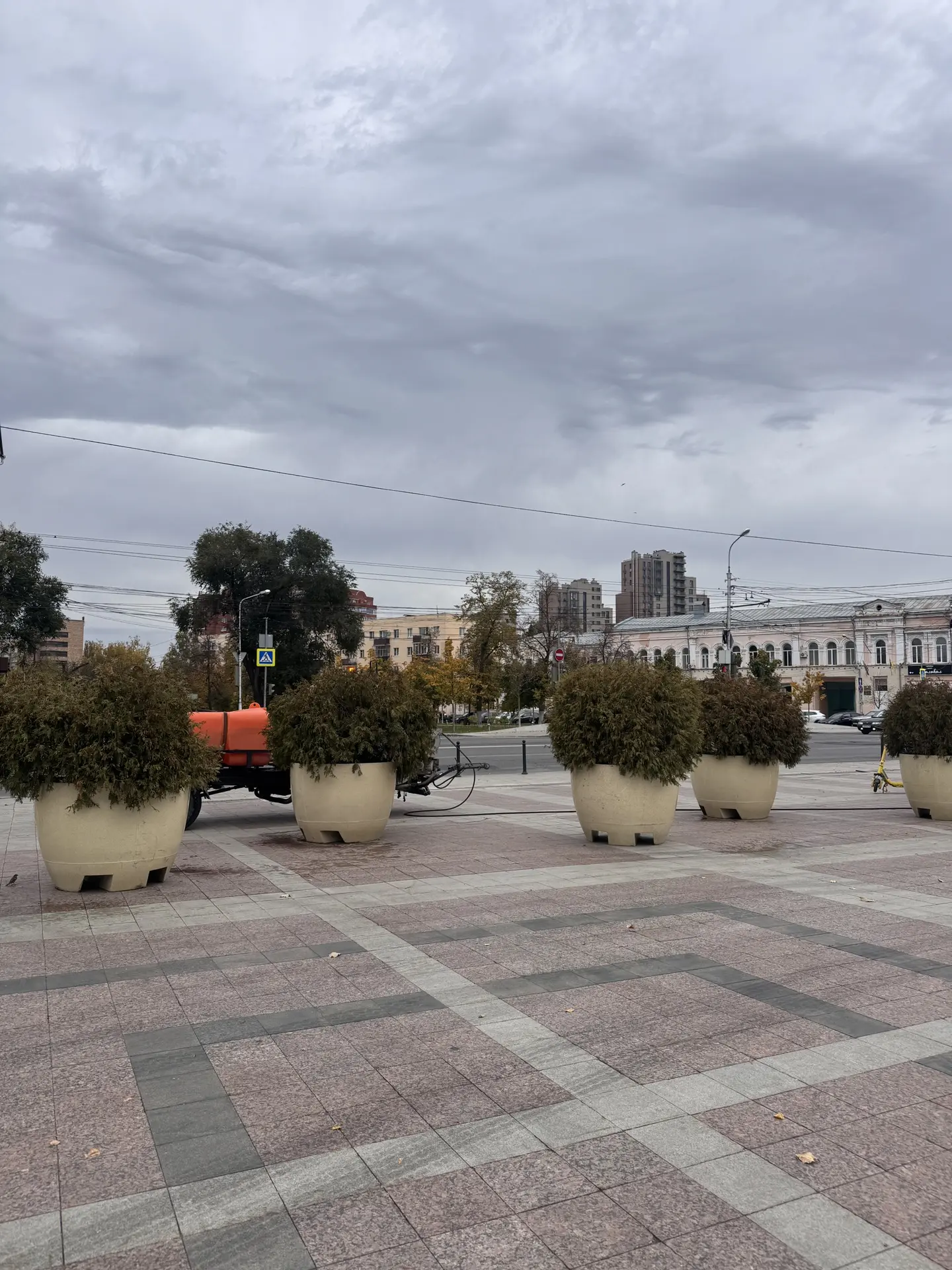 🤓На площадь Ленина возвращают туи, которые из-за Дня города переставляли на Московскую