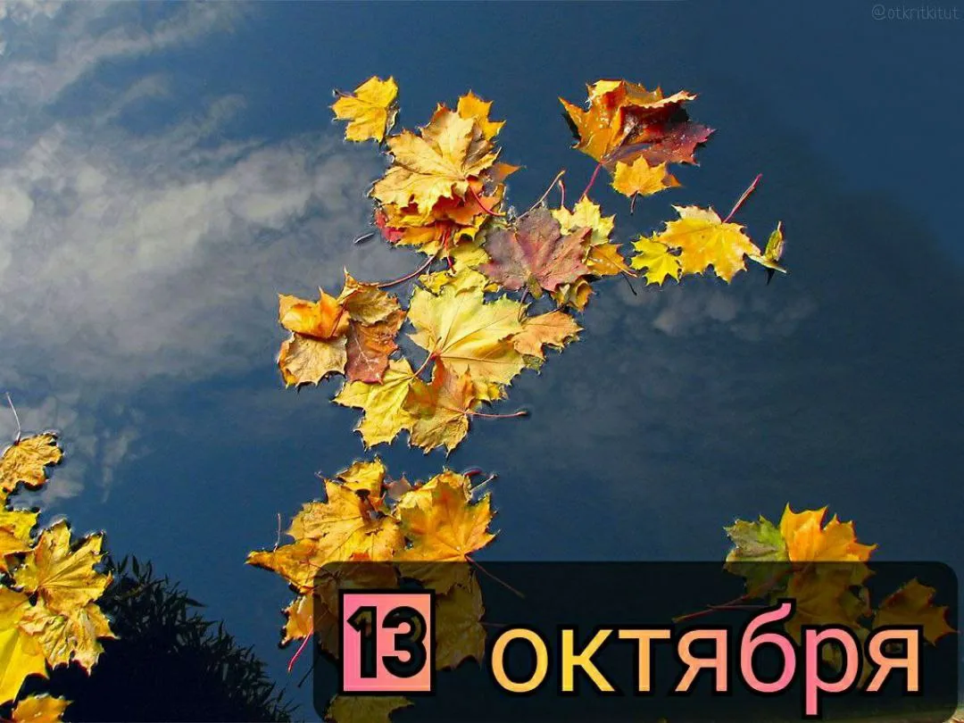 Праздники 13 октября, вторник 🗓️