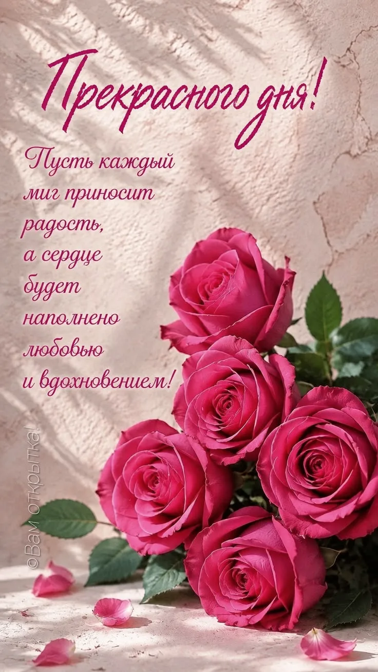 Открыточки - Подписаться